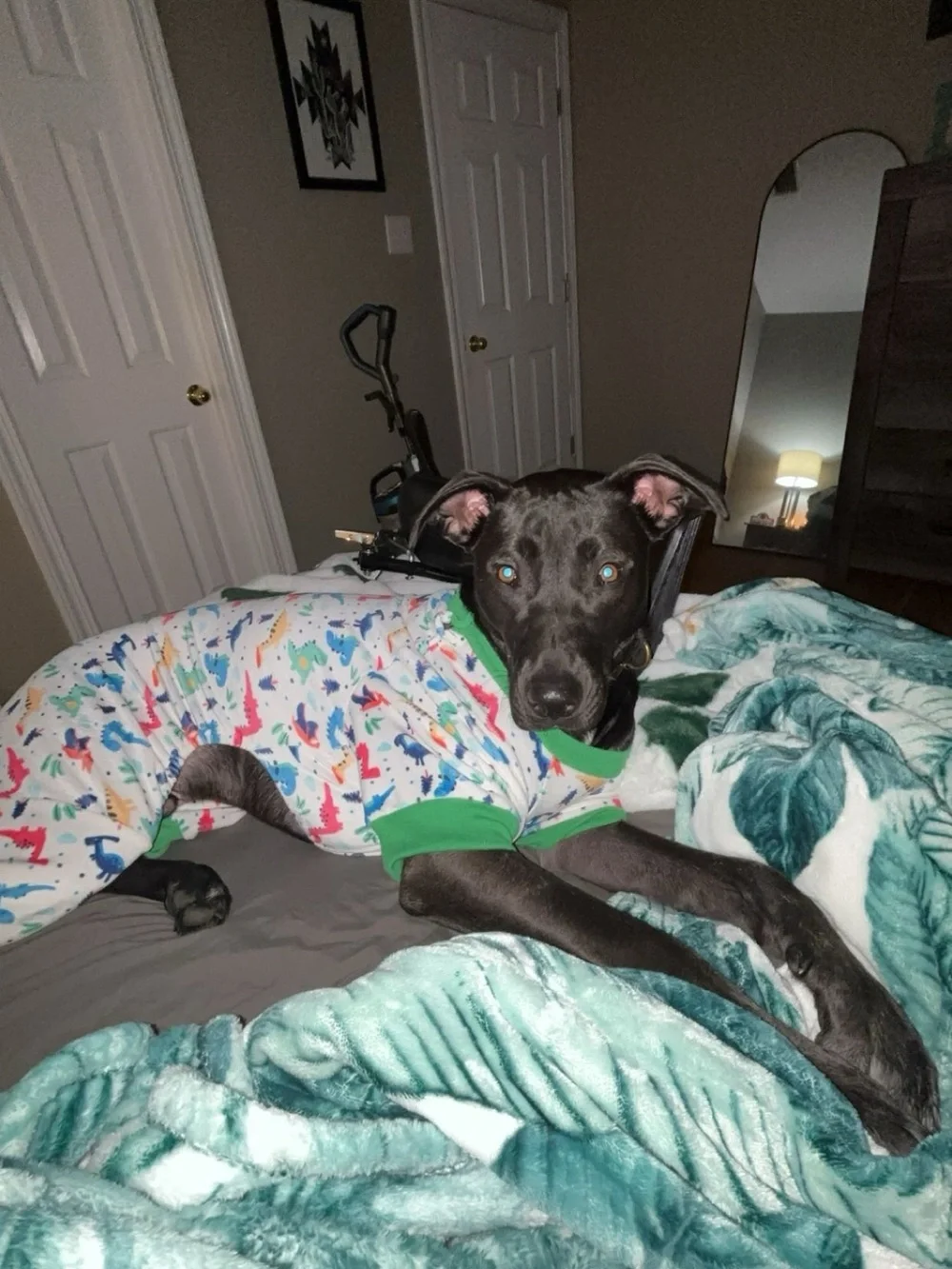 Dog Pajama Onesie - White with Colorful Dinosaur Print